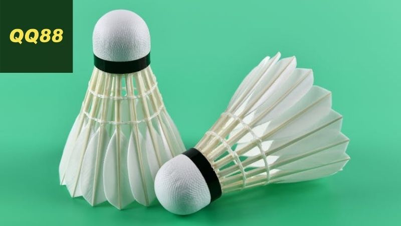 Cá cược cầu lông